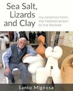 Sea Salt, Lizards and Clay