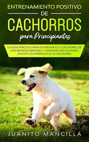 Entrenamiento Positivo De Cachorros Para Principiantes