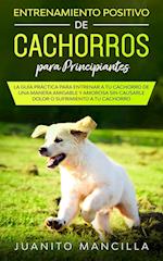 Entrenamiento Positivo De Cachorros Para Principiantes