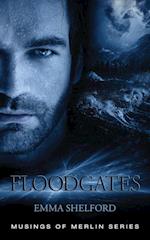 Floodgates 