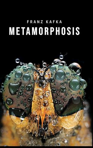 Metamorphosis