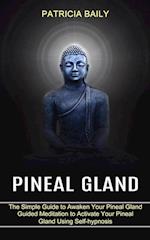 Pineal Gland