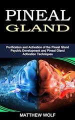 Pineal Gland