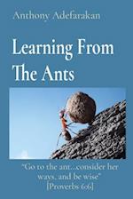 Learning From The Ants