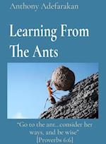 Learning From The Ants: 'Go to the ant...consider her ways, and be wise'  [Proverbs 6