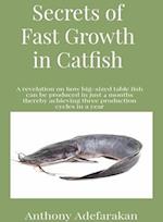 Secrets of Fast Growth in Catfish : A revelation on how big-sized table fish can be produced in just 4 months thereby achieving three production cycles in a year