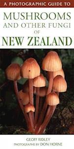 Photographic Guide to Mushrooms & Other Fungi