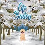 Life of Bailey