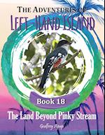 The Adventures of Left-Hand Island