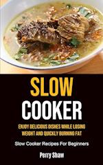 Slow Cooker