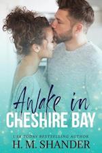 Awake in Cheshire Bay: A secret billionaire romance 