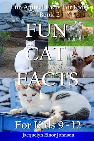 Fun Cat Facts for Kids 9-12