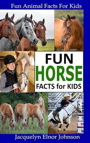 Fun Horse Facts for Kids