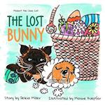 The Lost Bunny 