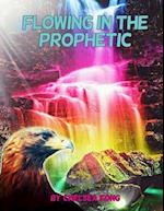 Flowing in the Prophetic 