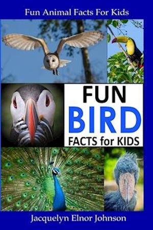 Fun Bird Facts for Kids