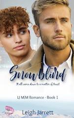 Snowblind: A Friends to Lovers Gay Romance 