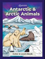 Antarctic & Arctic Animals 