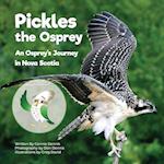 Pickles the Osprey