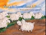 What's So Special About a Sheep? 