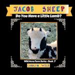 Jacob Sheep