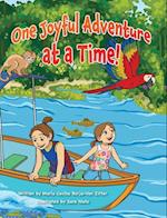 One Joyful Adventure at a Time! 