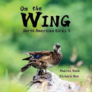 On the Wing - North American Birds 5