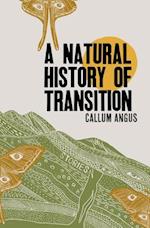 A Natural History Of Transition