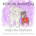 ROXI the Rescue Dog Helps the Elephants