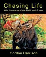 Chasing Life: Wild Creatures of the Field and Forest 