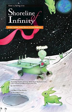 Shoreline of Infinity 14