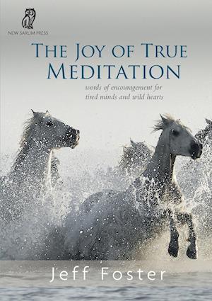 The joy of True Meditation