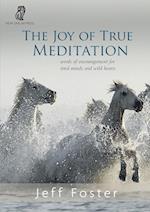 The joy of True Meditation