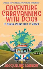 It Never Rains But It Paws - A Road Trip Through Politics And A Pandemic