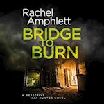 Bridge to Burn : A Detective Kay Hunter murder mystery