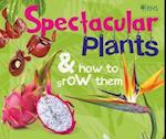 RHS Spectacular Plants and how to grow them