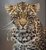 Remembering Leopards