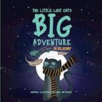 The Little Lost Cat's Big Adventure in Kilkenny