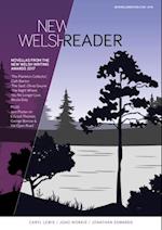 New Welsh Reader : New Welsh Reader (New Welsh Review 116, Winter 2017)