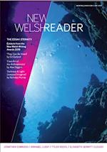 New Welsh Reader (New Welsh Review 118, autumn 2018) : New Welsh Review 118, autumn 2018