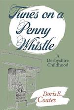 Tunes on a Penny Whistle : A Derbyshire Childhood