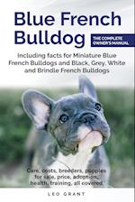 Blue French Bulldog