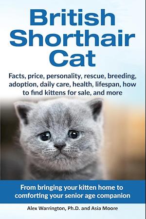 Få British Shorthair Cat af Asia Moore som Paperback på
