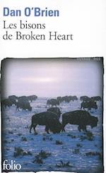 Bisons de Broken Heart