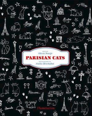 Parisian Cats