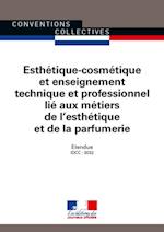 Esthétique-cosmétique et enseignement technique et professionnel lié aux métiers de l''esthétique et de la parfumerie