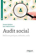 Audit social