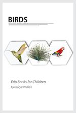 Birds: Montessori real birds book, bits of intelligence for baby and toddler, children's book, learning resources. 