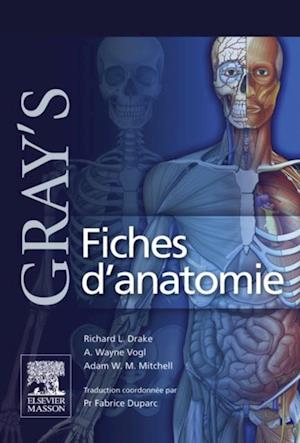 Gray''s Fiches d''anatomie