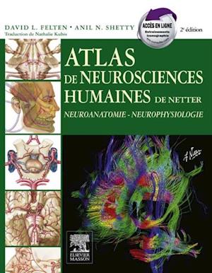 Atlas de neurosciences humaines de Netter